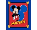 Mickey Mouse Large Panel